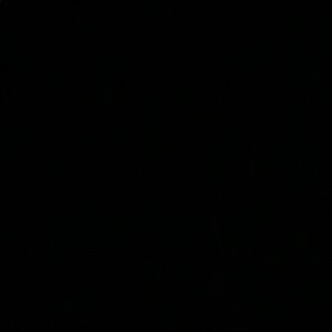 Meet your Posher, Ava